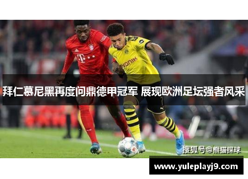 拜仁慕尼黑再度问鼎德甲冠军 展现欧洲足坛强者风采