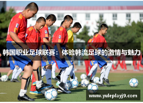 韩国职业足球联赛：体验韩流足球的激情与魅力